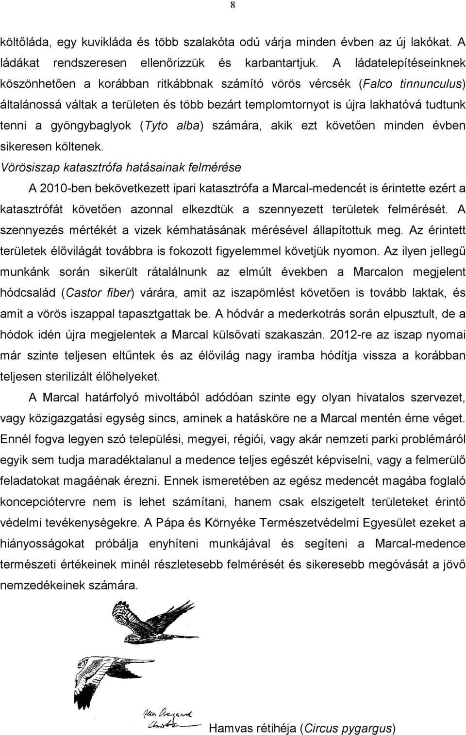 gyöngybaglyok (Tyto alba) számára, akik ezt követően minden évben sikeresen költenek.