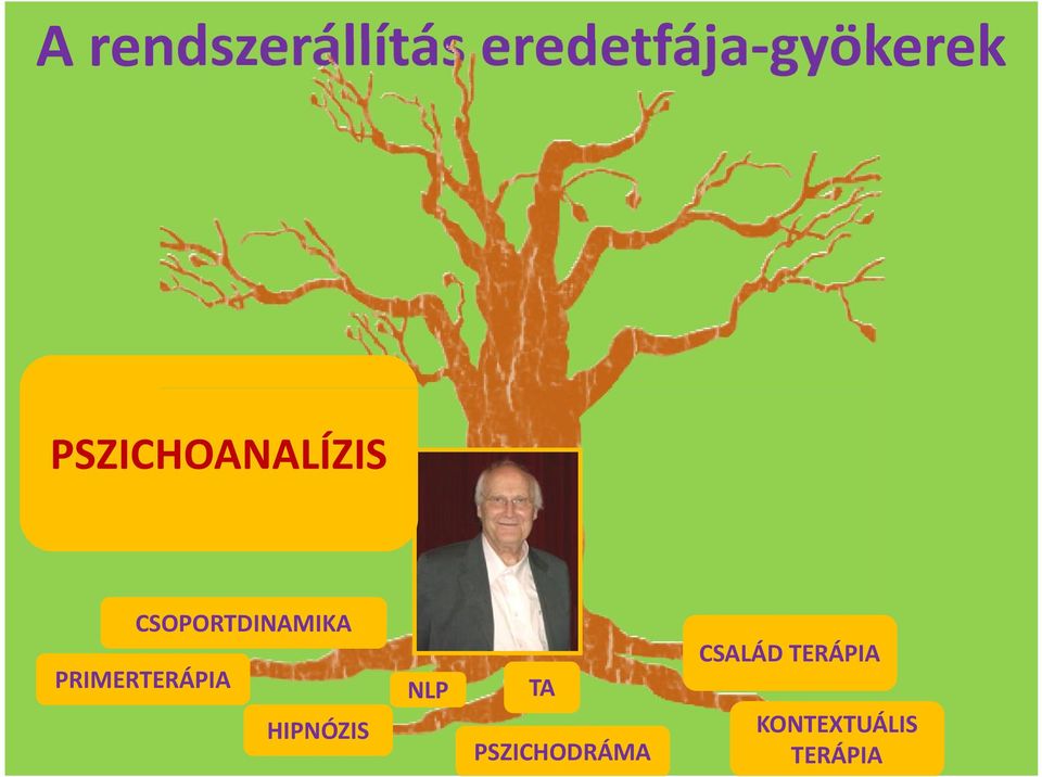 CSOPORTDINAMIKA PRIMERTERÁPIA CSALÁD