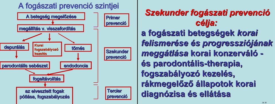 endodoncia fogeltávolítás az elvesztett fogak pótlása, fogszabályozás Tercier prevenció Szekunder fogászati prevenció célja: