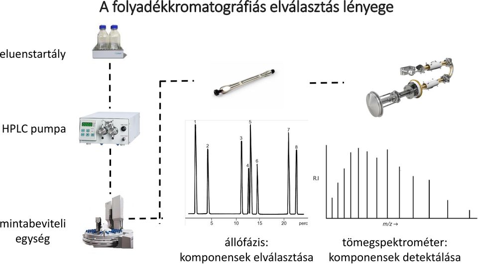 mintabeviteli egység állófázis: