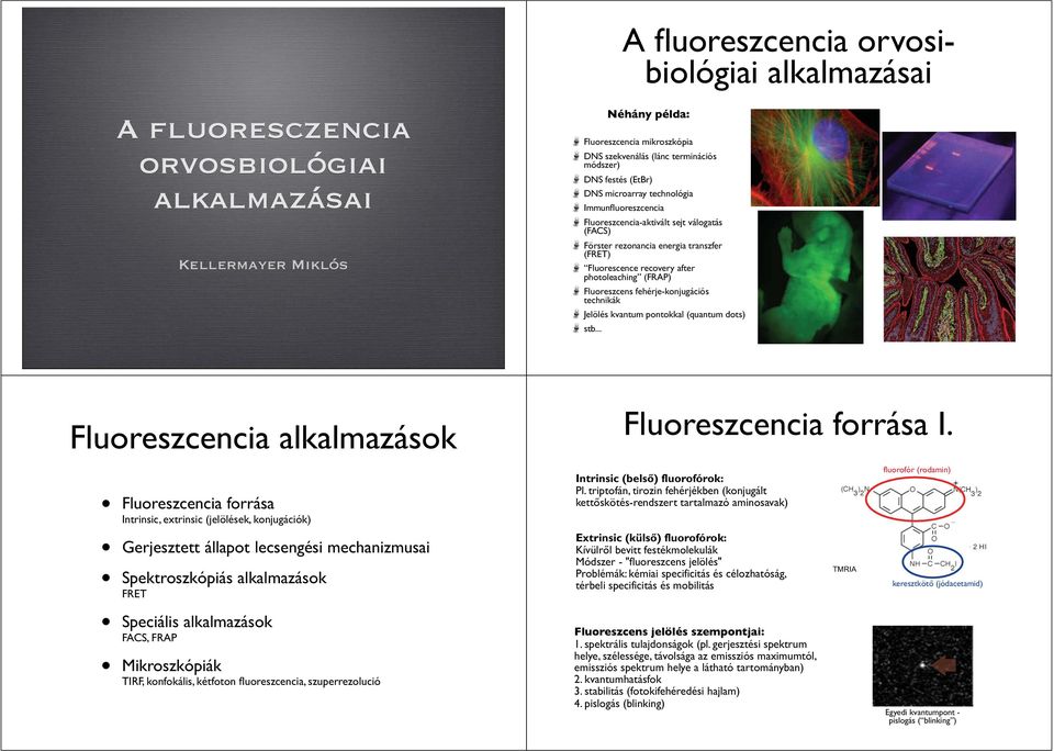 fehérje-konjugációs technikák Jelölés kvantum pontokkal (quantum dots) stb.