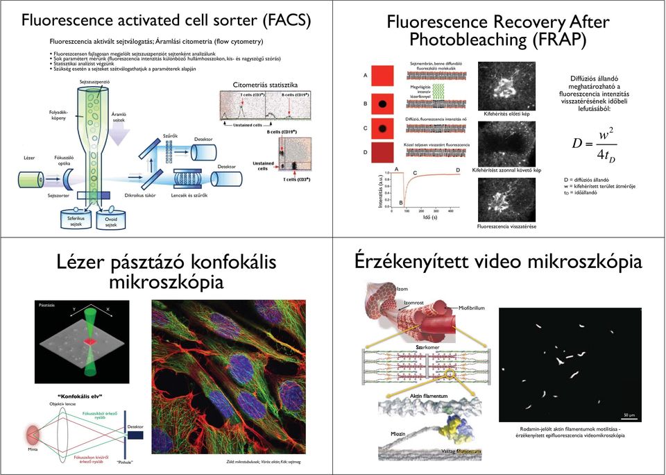 Folyadékköpeny Sejtszuszpenzió Áramló Citometriás statisztika Fluorescence Recovery After Photobleaching (FRAP) Sejtmembrán, benne diffundáló fluoreszkáló molekulák Megvilágítás intenzív lézerfénnyel