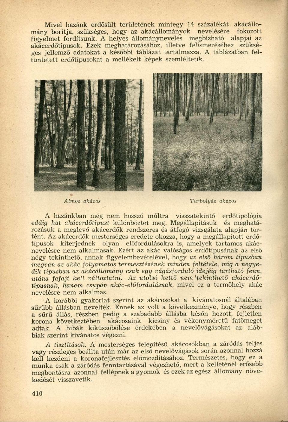 A táblázatban feltüntetett erdőtípusokat a mellékelt képek szemléltetik.