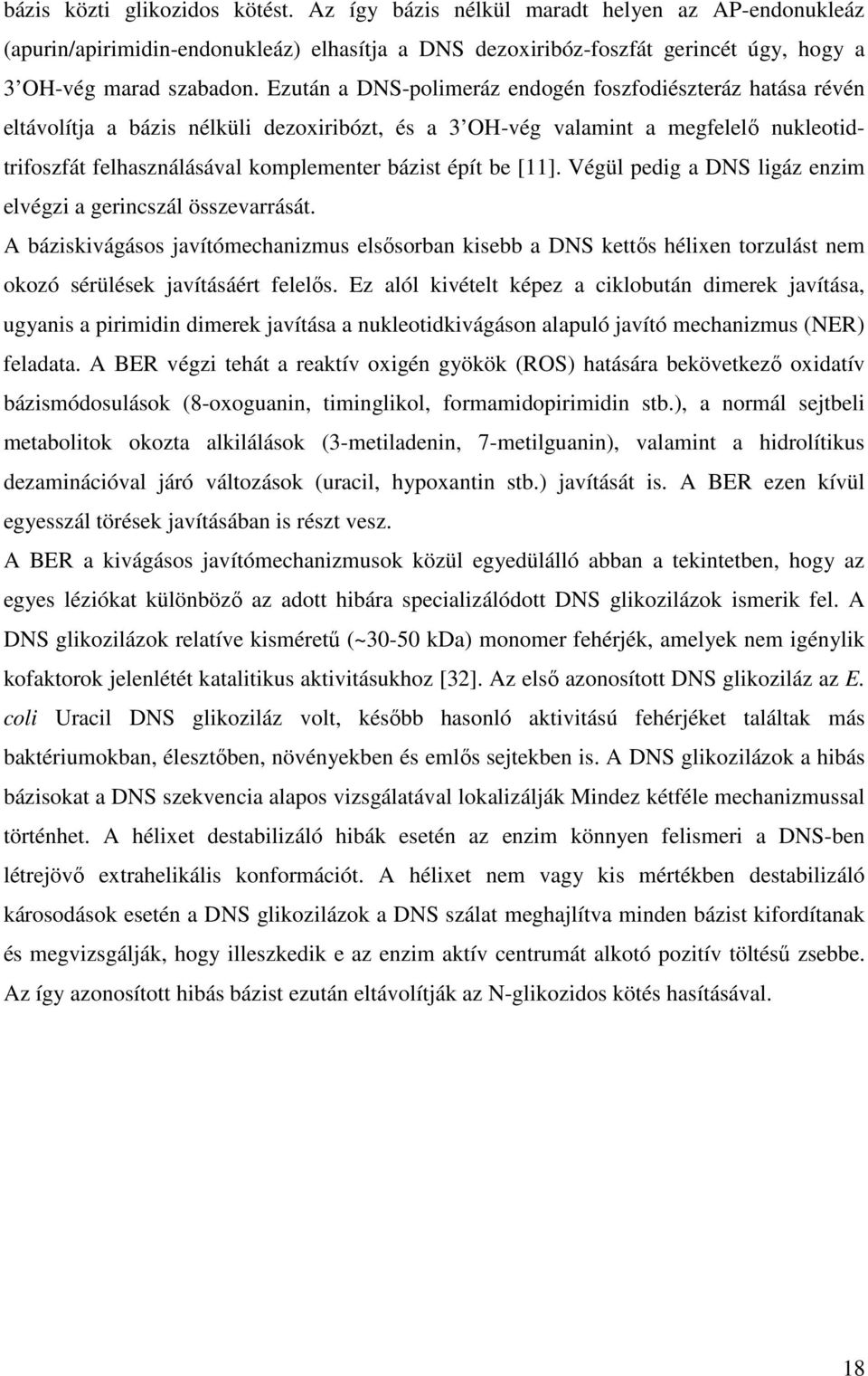 be [11]. Végül pedig a DNS ligáz enzim elvégzi a gerincszál összevarrását. A báziskivágásos javítómechanizmus elsısorban kisebb a DNS kettıs hélixen torzulást nem okozó sérülések javításáért felelıs.