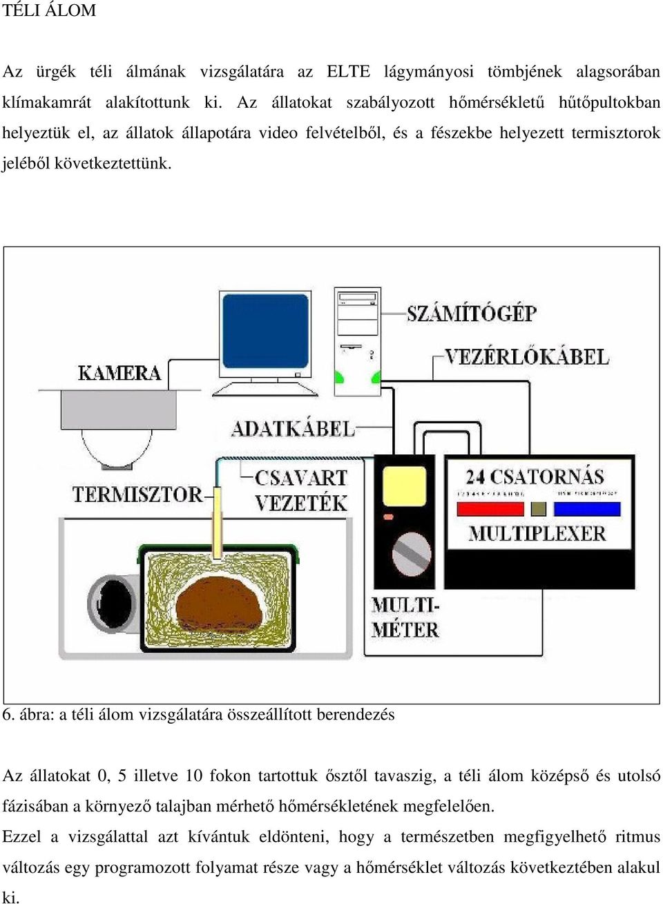 6. ábra: a téli álom vizsgálatára összeállított berendezés Az állatokat 0, 5 illetve 10 fokon tartottuk ısztıl tavaszig, a téli álom középsı és utolsó fázisában a