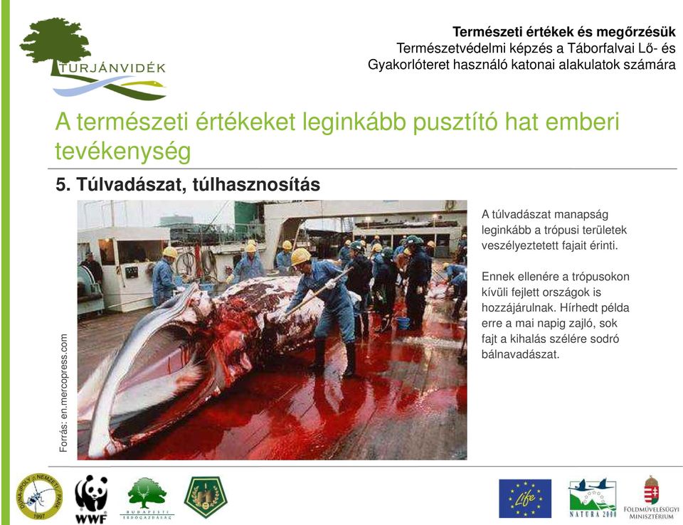veszélyeztetett fajait érinti. Forrás: en.mercopress.