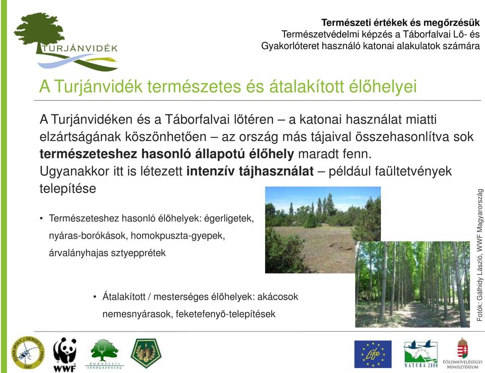 Ugyanakkor itt is létezett intenzív tájhasználat például faültetvények telepítése Természeteshez hasonló élőhelyek: égerligetek,