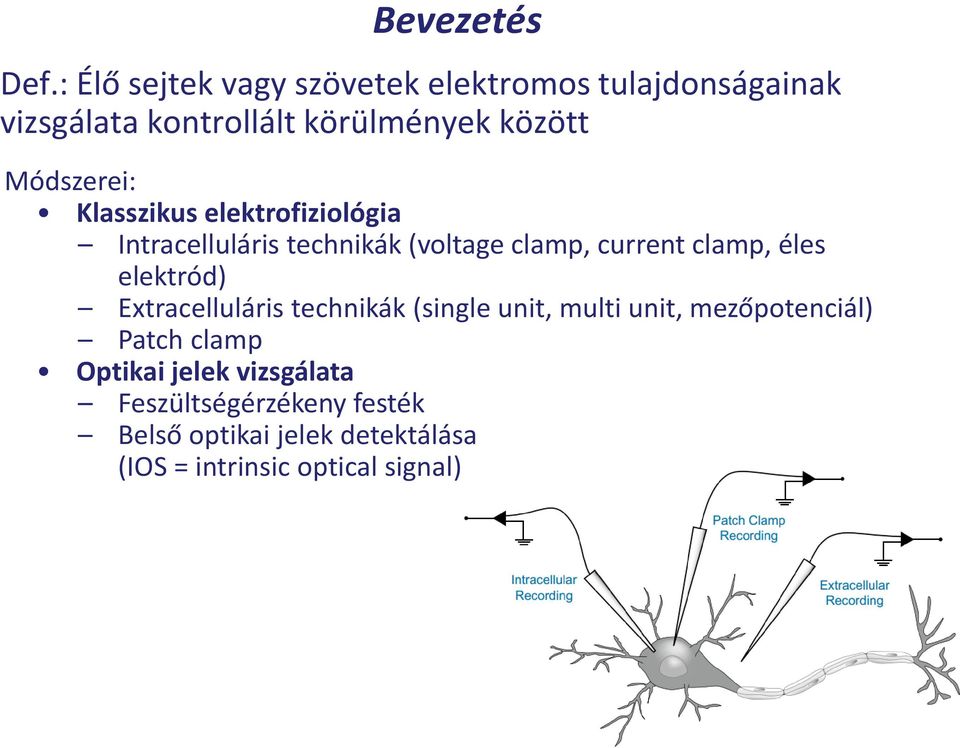 Módszerei: Klasszikus elektrofiziológia Intracelluláris technikák (voltage clamp, current clamp, éles