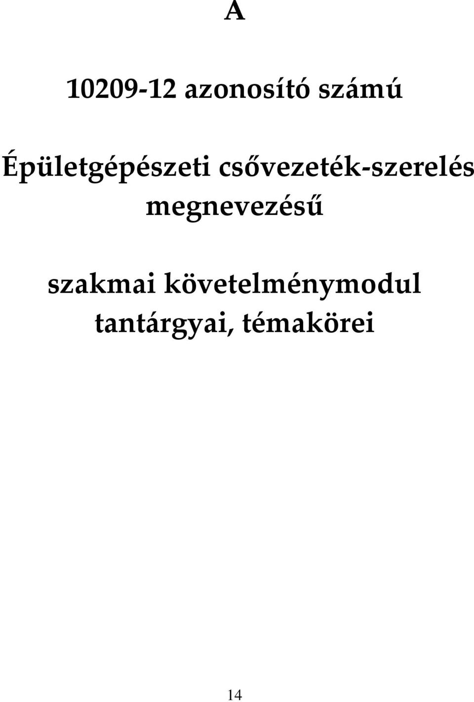 megnevezésű szakmai