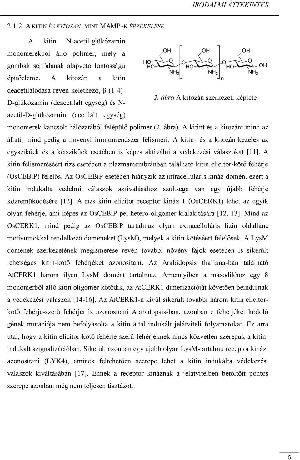 ábra A kitozán szerkezeti képlete D-glükózamin (deacetilált egység) és N- acetil-d-glükózamin (acetilált egység) monomerek kapcsolt hálózatából felépülő polimer (2. ábra).