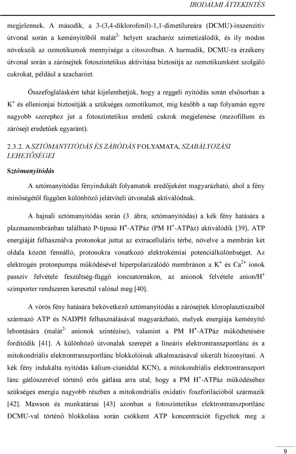 citoszolban. A harmadik, DCMU-ra érzékeny útvonal során a zárósejtek fotoszintetikus aktivitása biztosítja az ozmotikumként szolgáló cukrokat, például a szacharózt.