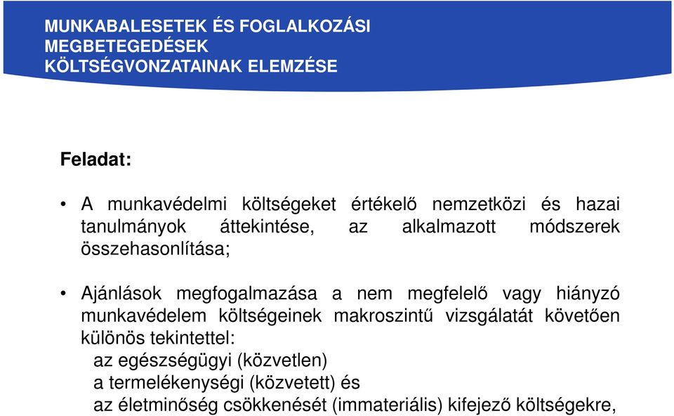 megfogalmazása a nem megfelelő vagy hiányzó munkavédelem költségeinek makroszintű vizsgálatát követően különös