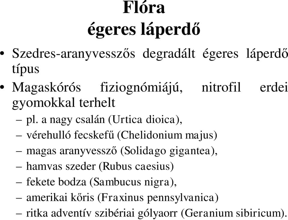 a nagy csalán (Urtica dioica), vérehulló fecskefű (Chelidonium majus) magas aranyvessző (Solidago
