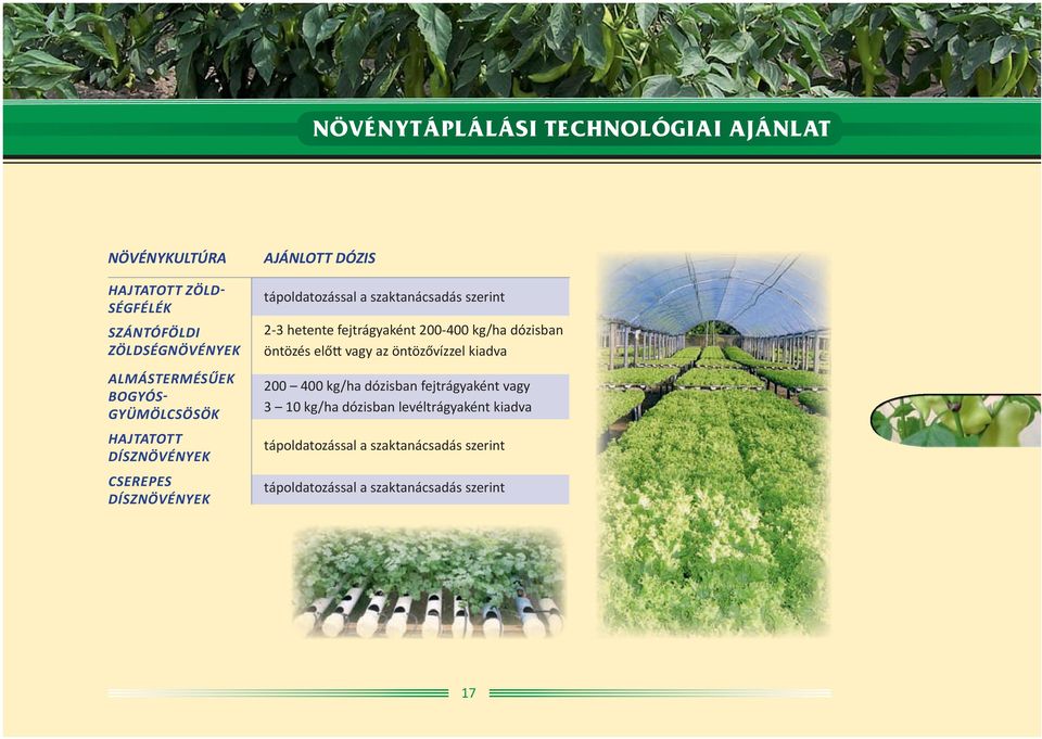 hetente fejtrágyaként 200-400 kg/ha dózisban öntözés elő vagy az öntözővízzel kiadva 200 400 kg/ha dózisban fejtrágyaként
