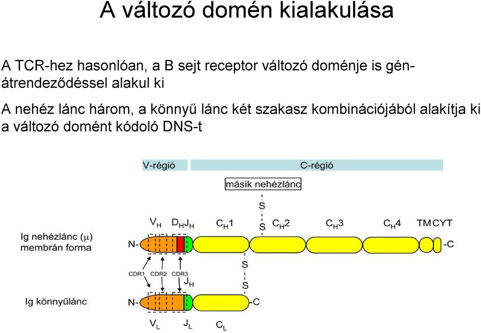 alakul ki A nehéz lánc három, a könnyű lánc két