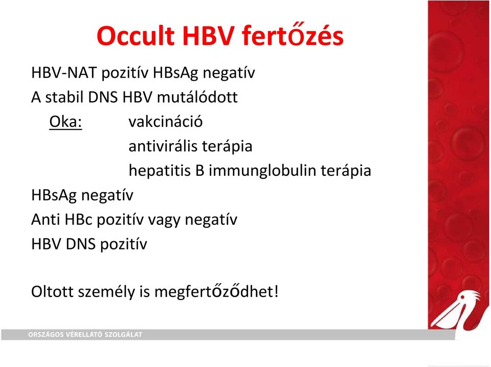 hepatitis B immunglobulin terápia HBsAg negatív Anti HBc