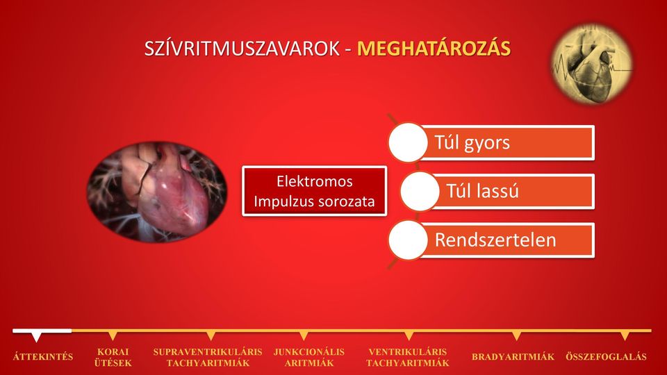 Elektromos Impulzus