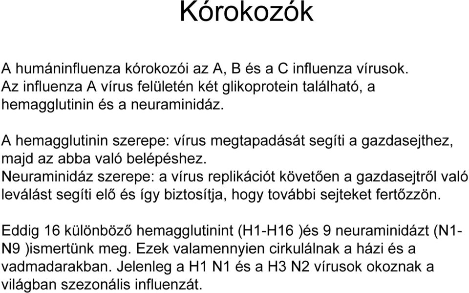 A hemagglutinin szerepe: vírus megtapadását segíti a gazdasejthez, majd az abba való belépéshez.