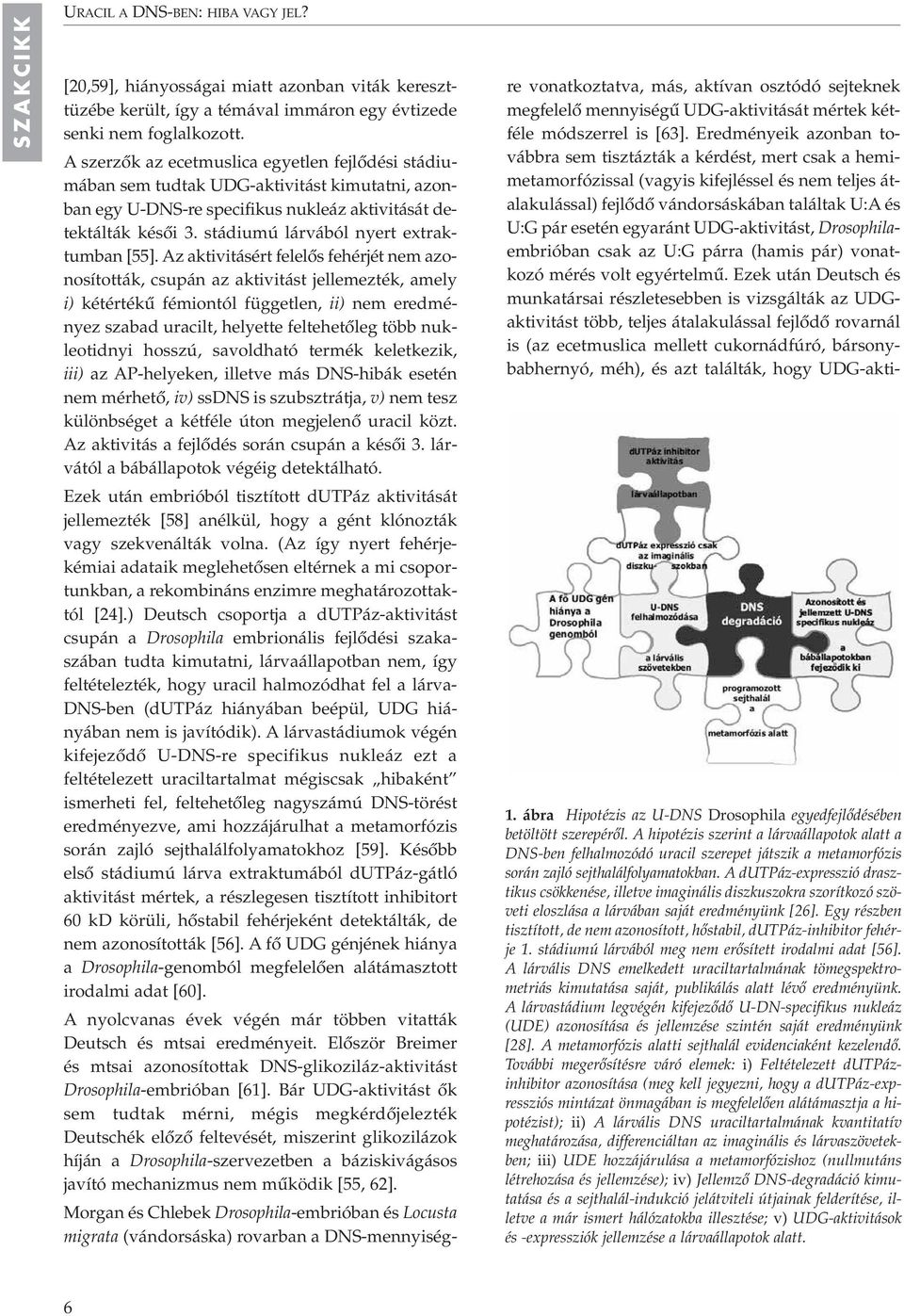 stádiumú lárvából nyert extraktumban [55].