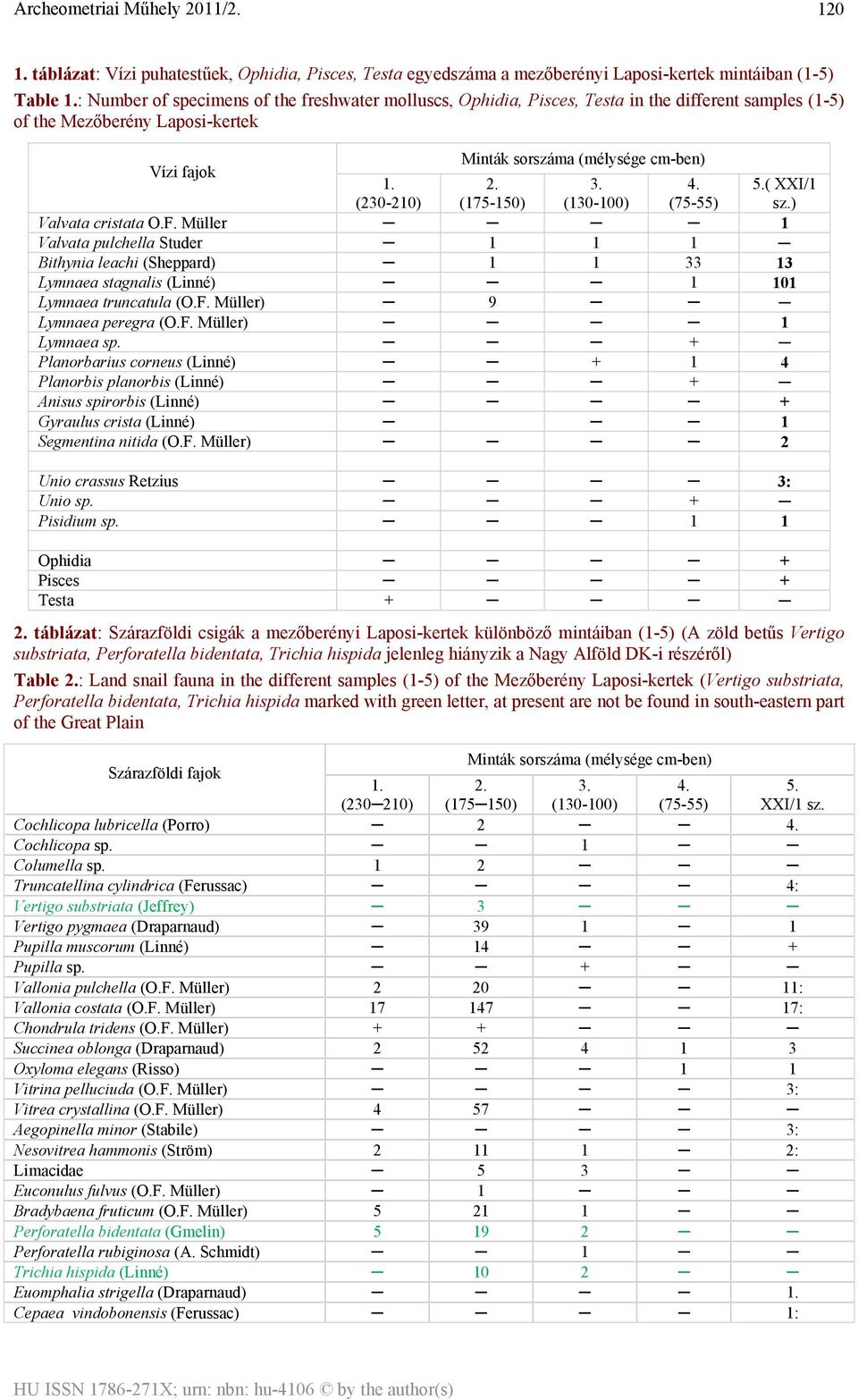 ( XXI/1 (230-210) (175-150) (130-100) (75-55) sz.) Valvata cristata O.F.