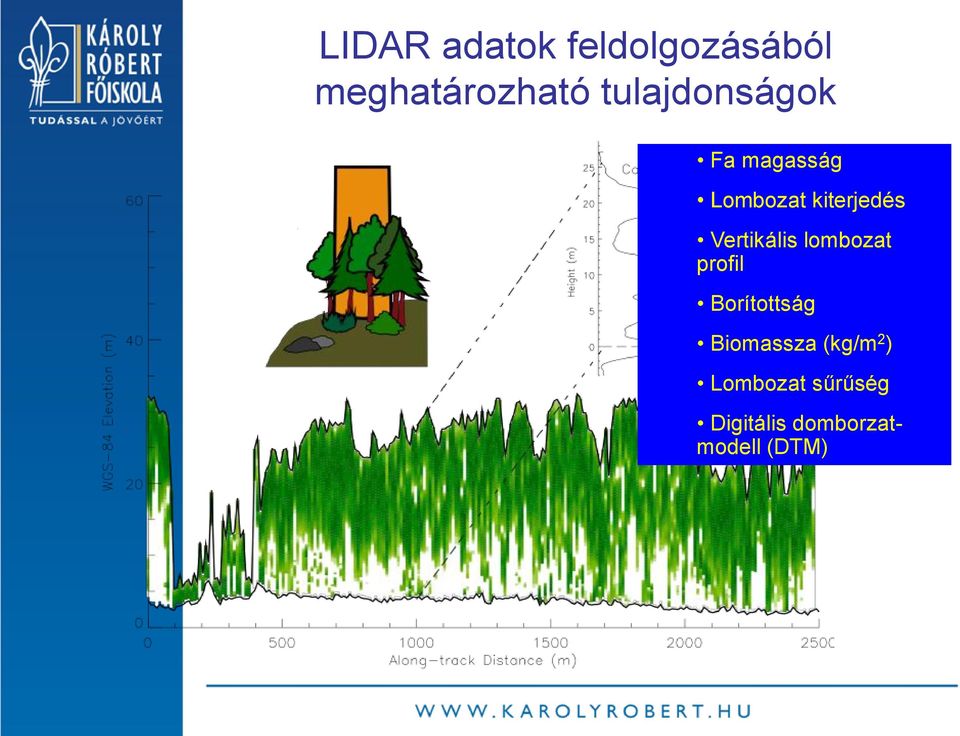Vertikális lombozat profil Borítottság Biomassza
