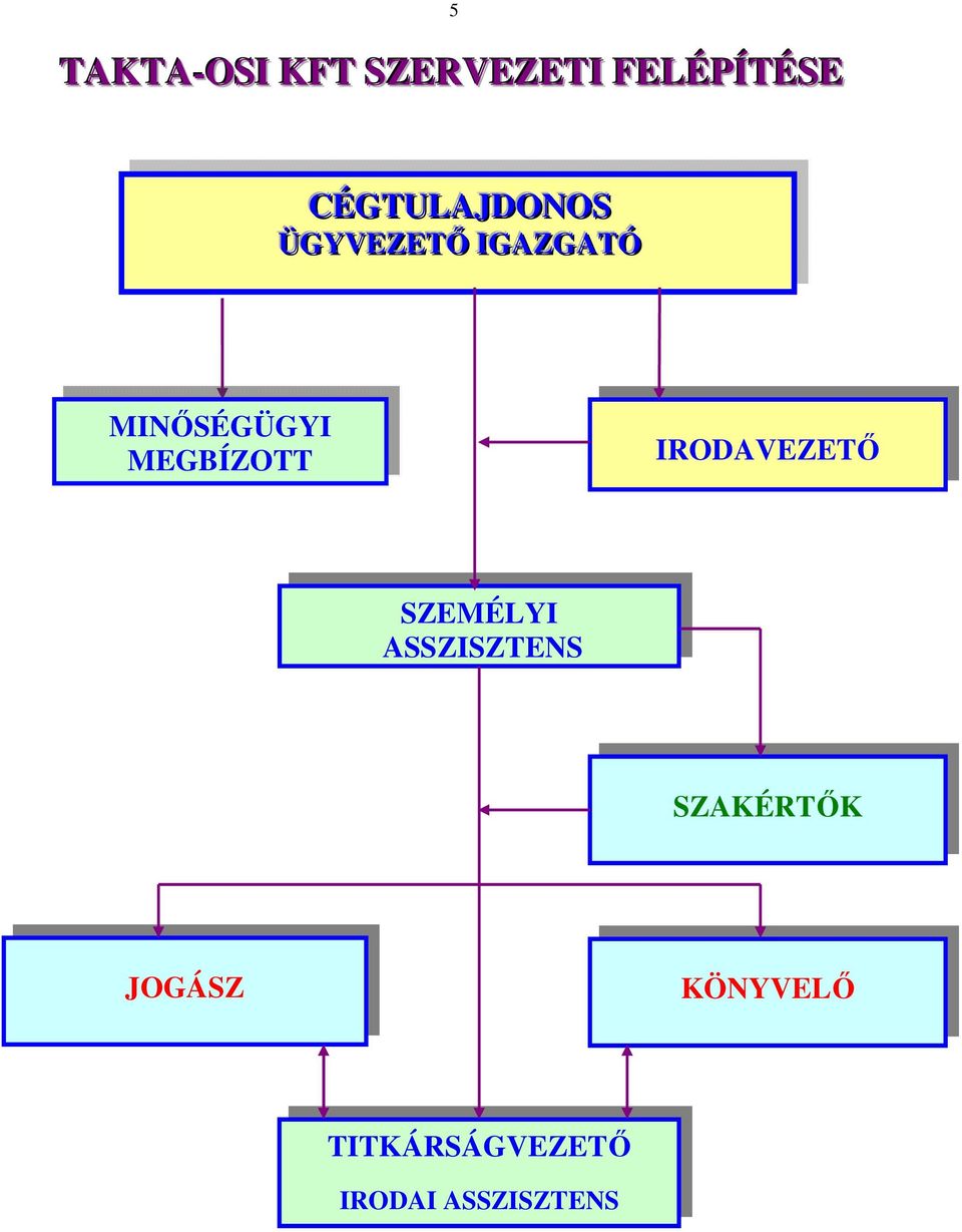 MEGBÍZOTT IRODAVEZETŐ SZEMÉLYI ASSZISZTENS
