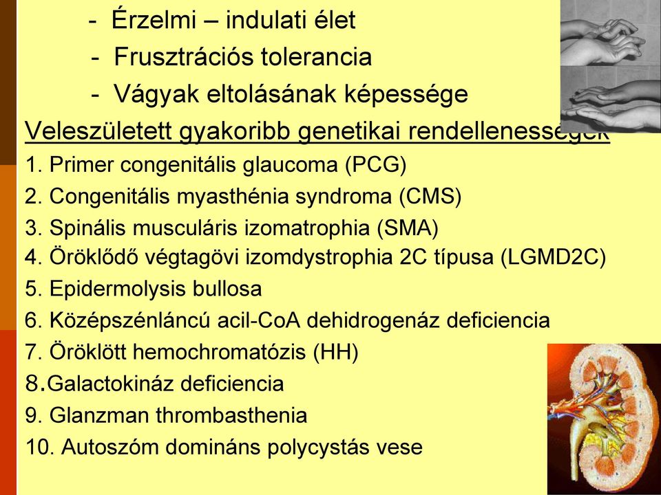 Spinális musculáris izomatrophia (SMA) 4. Öröklődő végtagövi izomdystrophia 2C típusa (LGMD2C) 5. Epidermolysis bullosa 6.