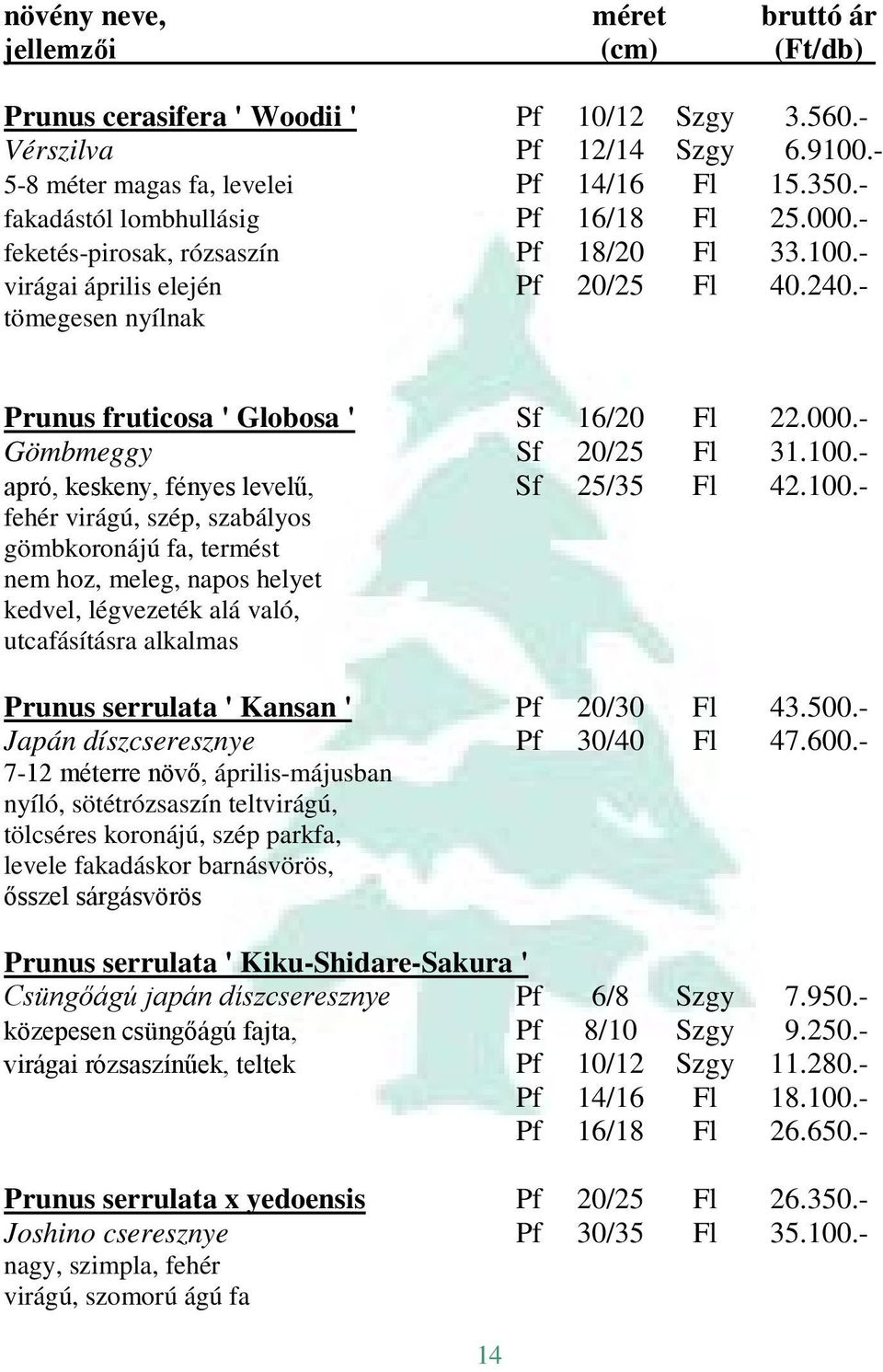 100.- fehér virágú, szép, szabályos gömbkoronájú fa, termést nem hoz, meleg, napos helyet kedvel, légvezeték alá való, utcafásításra alkalmas Prunus serrulata ' Kansan ' Pf 20/30 Fl 43.500.