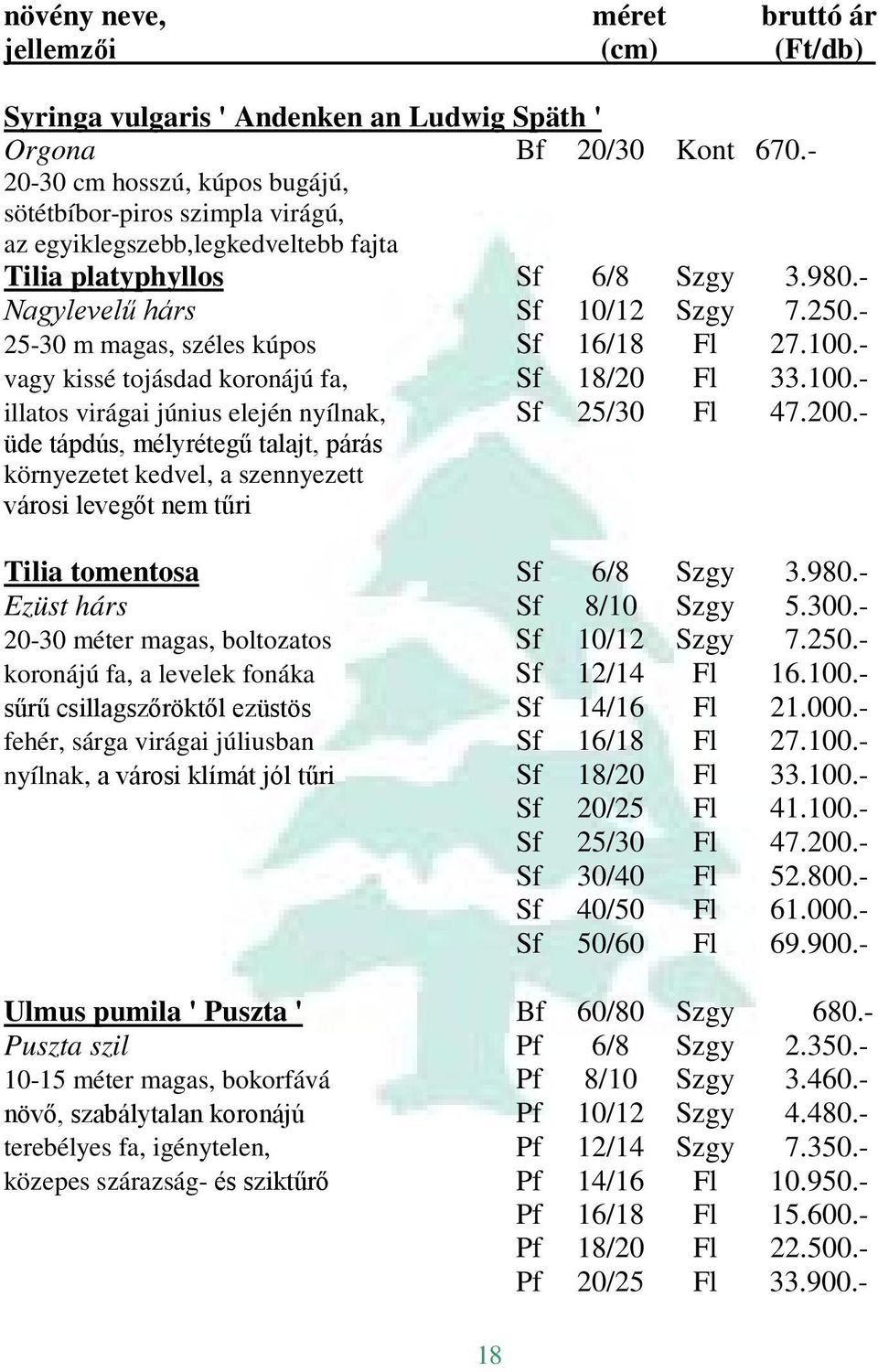 - 25-30 m magas, széles kúpos Sf 16/18 Fl 27.100.- vagy kissé tojásdad koronájú fa, Sf 18/20 Fl 33.100.- illatos virágai június elején nyílnak, Sf 25/30 Fl 47.200.