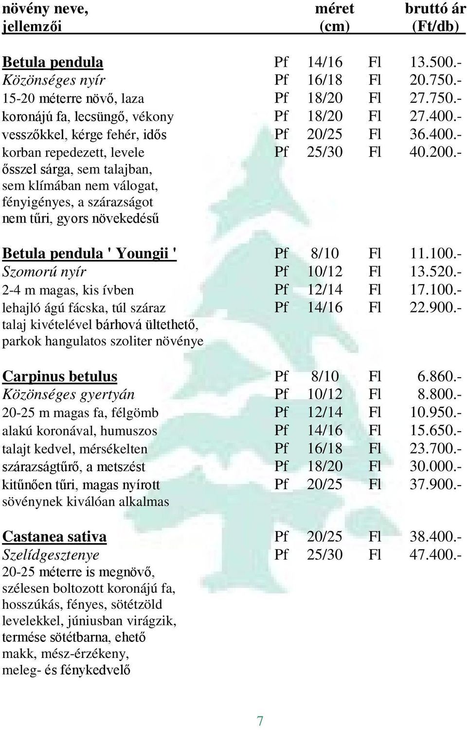 - ősszel sárga, sem talajban, sem klímában nem válogat, fényigényes, a szárazságot nem tűri, gyors növekedésű Betula pendula ' Youngii ' Pf 8/10 Fl 11.100.- Szomorú nyír Pf 10/12 Fl 13.520.