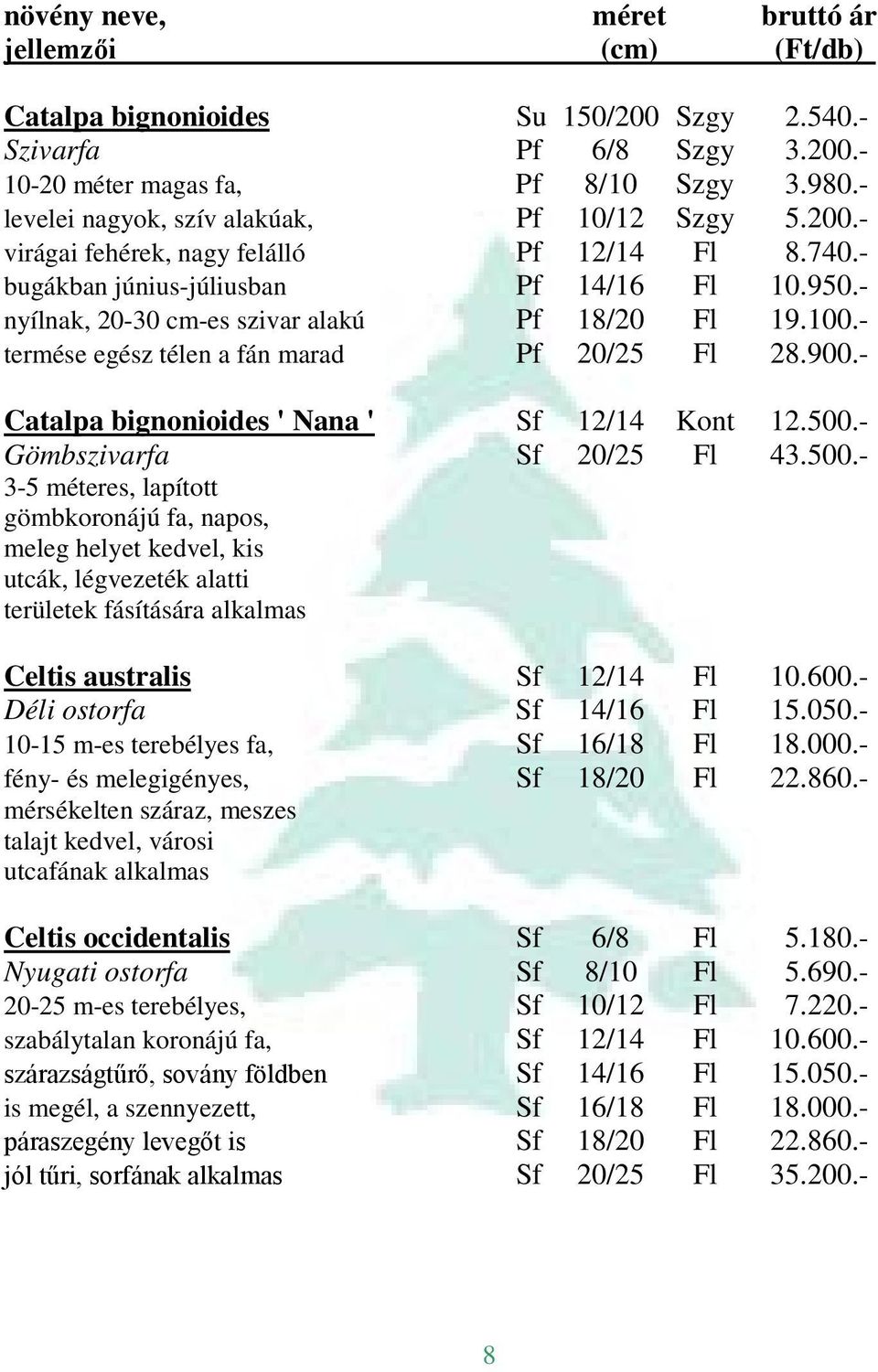 - Catalpa bignonioides ' Nana ' Sf 12/14 Kont 12.500.