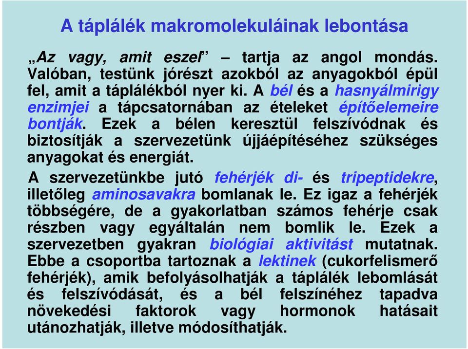 A szervezetünkbe jutó fehérjék di- és tripeptidekre, illetőleg aminosavakra bomlanak le. Ez igaz a fehérjék többségére, de a gyakorlatban számos fehérje csak részben vagy egyáltalán nem bomlik le.