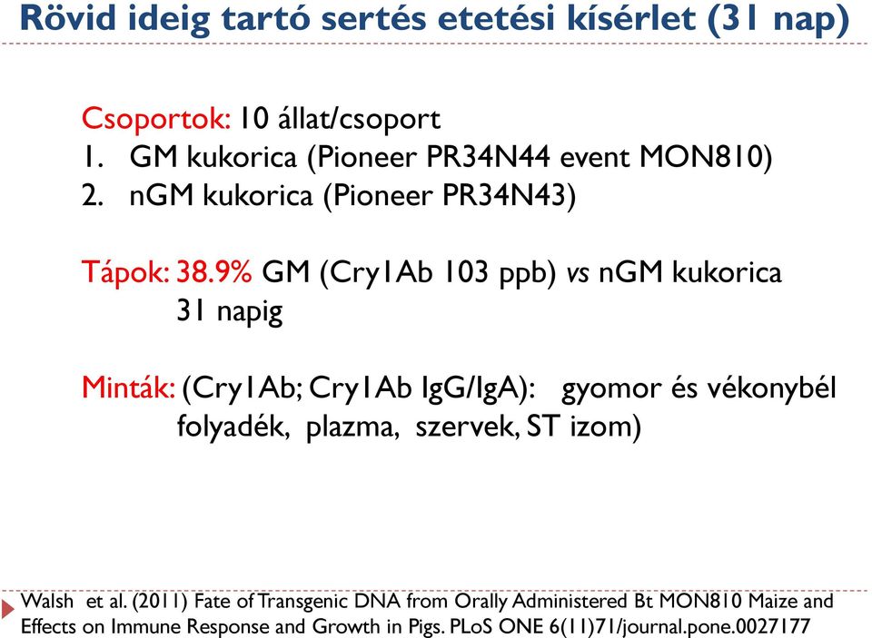 9% GM (Cry1Ab 103 ppb) vs ngm kukorica 31 napig Minták: (Cry1Ab; Cry1Ab IgG/IgA): gyomor és vékonybél folyadék, plazma,