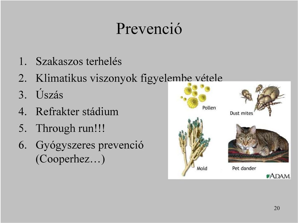 Úszás 4. Refrakter stádium 5.