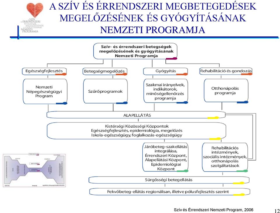 GYÓGYÍTÁSÁNAK NEMZETI PROGRAMJA