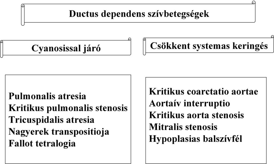 atresia Nagyerek transpositioja Fallot tetralogia Kritikus coarctatio