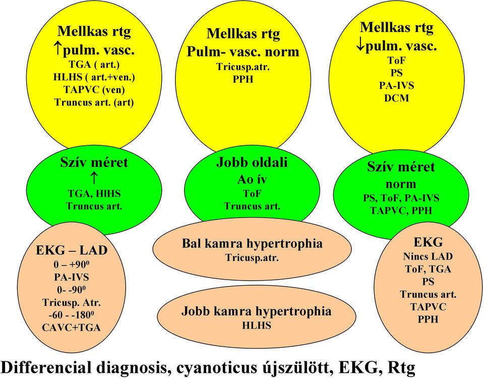 -60 - -180 0 CAVC+TGA Jobb oldali Ao ív ToF Truncus art. Bal kamra hypertrophia Tricusp.atr.