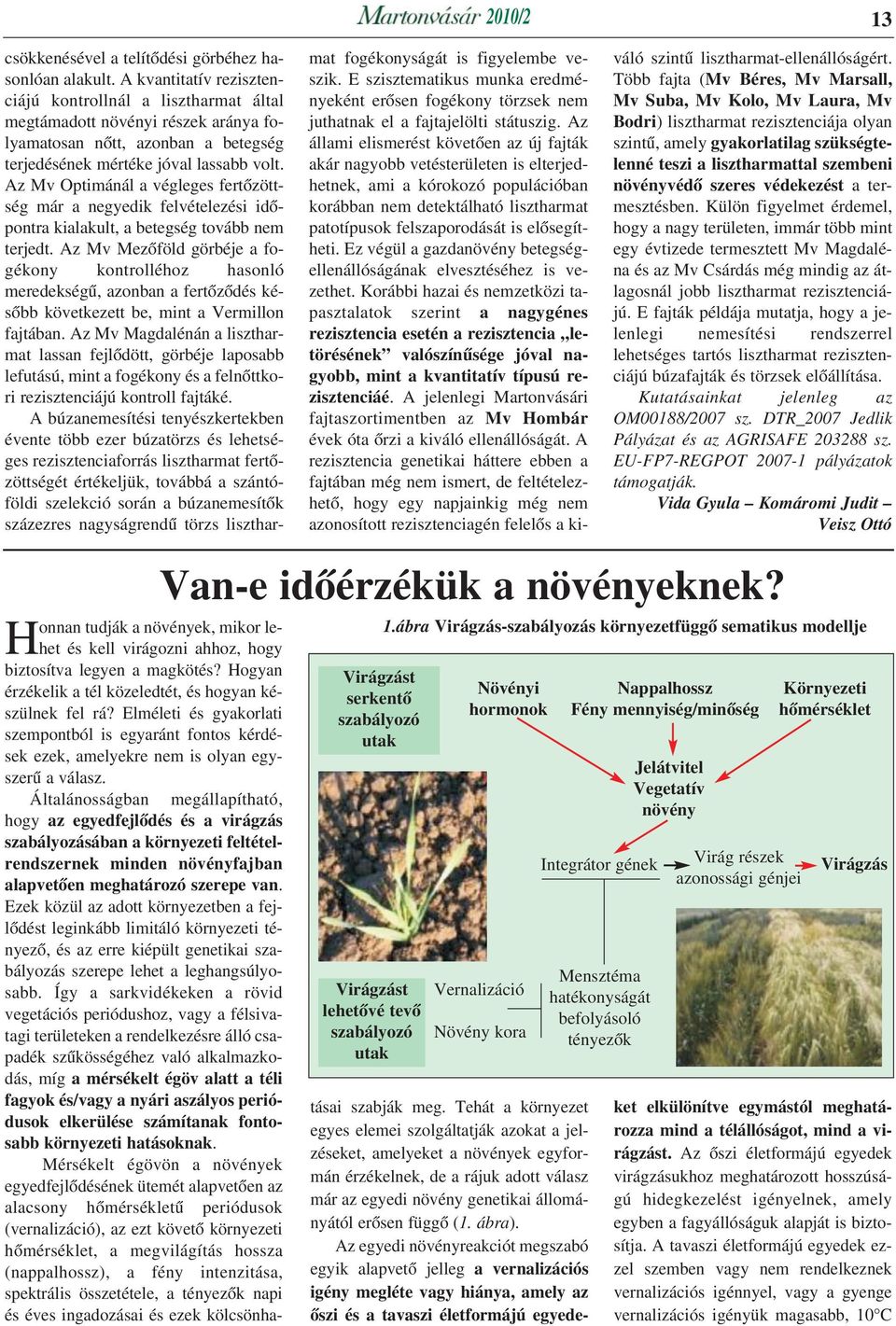 Az Mv Optimánál a végleges fertõzöttség már a negyedik felvételezési idõpontra kialakult, a betegség tovább nem terjedt.