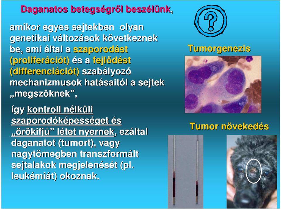 megszöknek, így kontroll nélkn lküli li szaporodóképess pességet és örökifj kifjú létet nyernek,, ezáltal daganatot