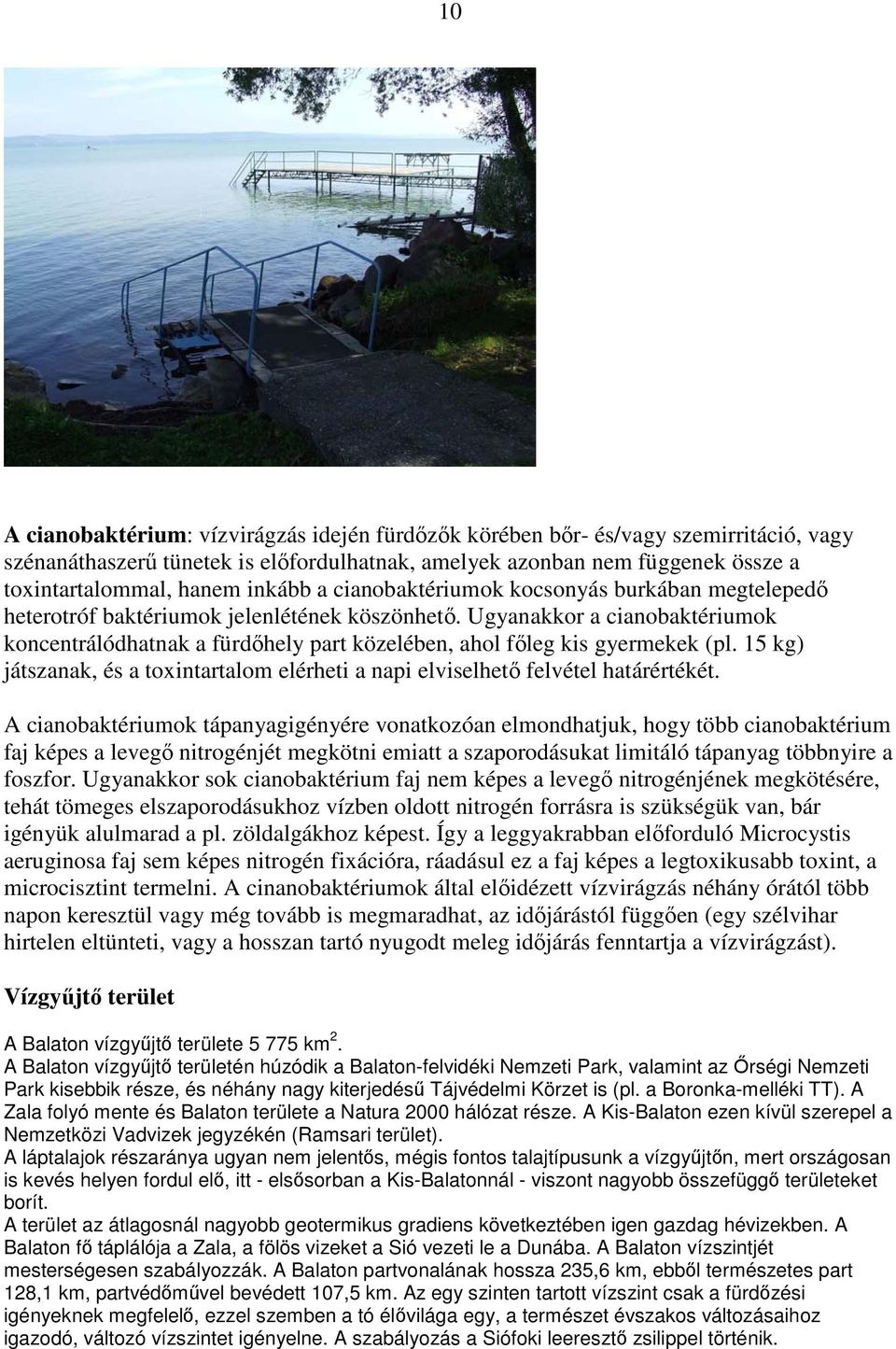 Ugyanakkor a cianobaktériumok koncentrálódhatnak a fürdıhely part közelében, ahol fıleg kis gyermekek (pl. 15 kg) játszanak, és a toxintartalom elérheti a napi elviselhetı felvétel határértékét.