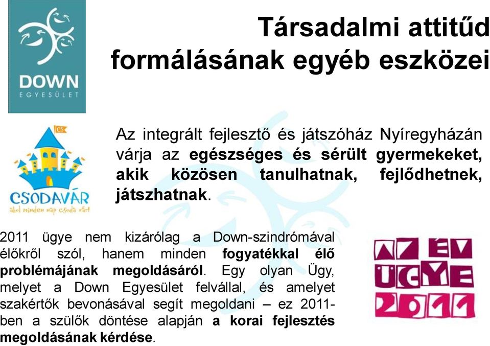 2011 ügye nem kizárólag a Down-szindrómával élőkről szól, hanem minden fogyatékkal élő problémájának megoldásáról.