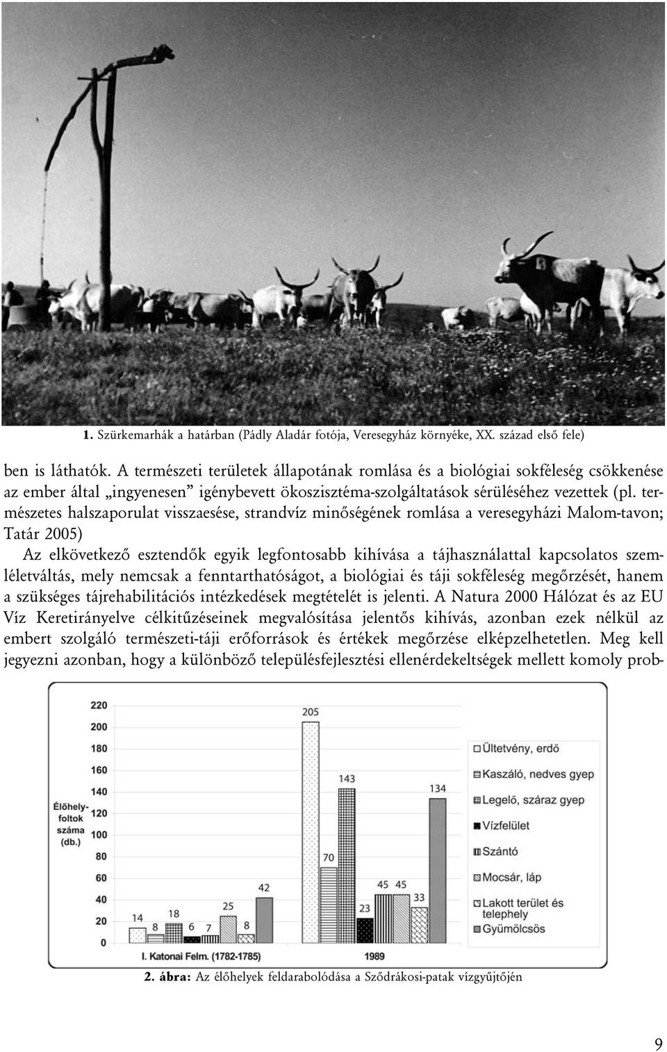 természetes halszaporulat visszaesése, strandvíz minõségének romlása a veresegyházi Malom-tavon; Tatár 2005) Az elkövetkezõ esztendõk egyik legfontosabb kihívása a tájhasználattal kapcsolatos