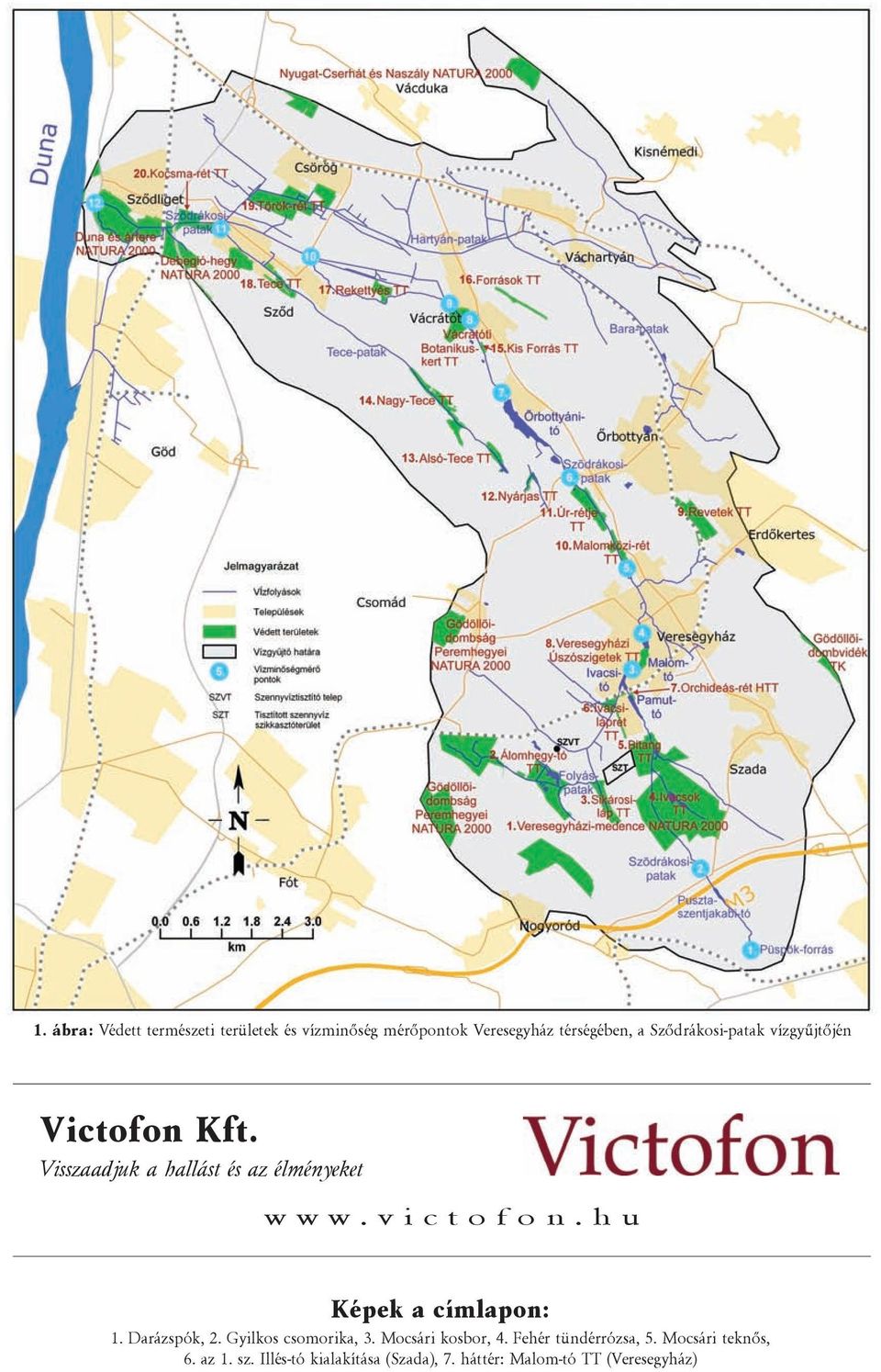 victofon.hu Képek a címlapon: 1. Darázspók, 2. Gyilkos csomorika, 3. Mocsári kosbor, 4.