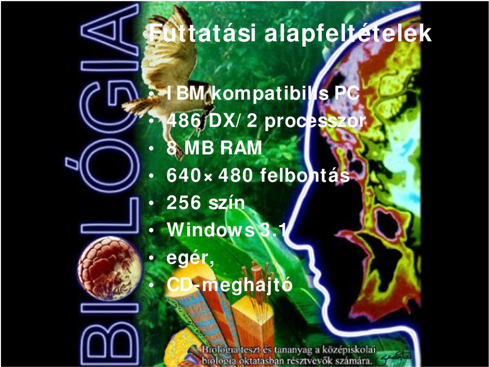 processzor 8 MB RAM 640 480