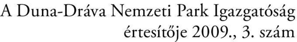 Igazgatóság