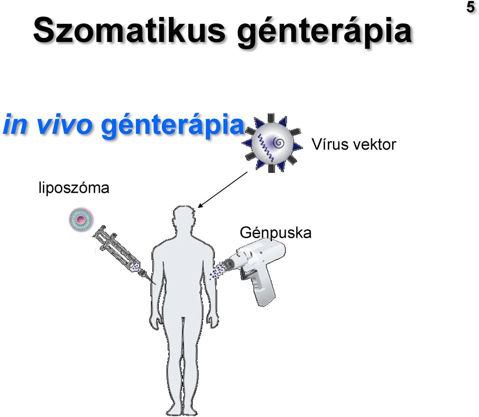 vivo génterápia