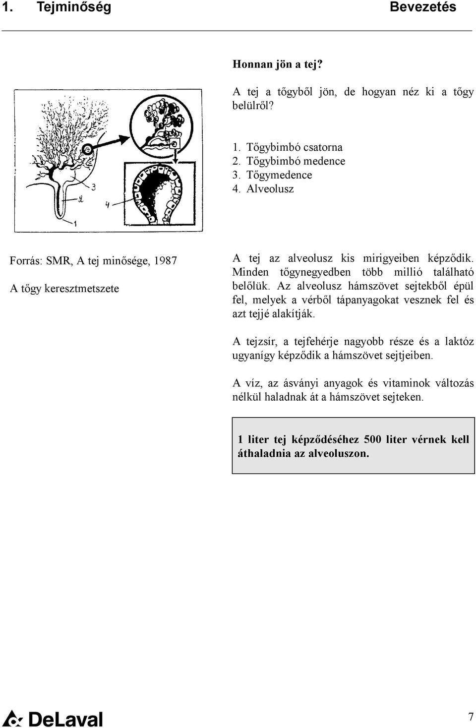 Az alveolusz hámszövet sejtekből épül fel, melyek a vérből tápanyagokat vesznek fel és azt tejjé alakítják.