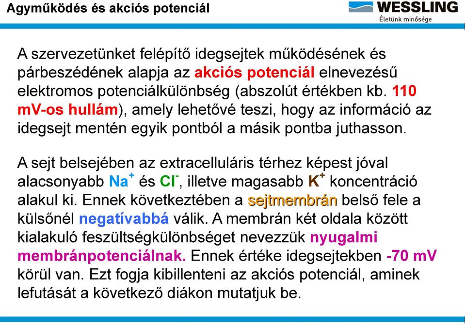 A sejt belsejében az extracelluláris térhez képest jóval alacsonyabb Na + és Cl -, illetve magasabb K + koncentráció alakul ki.