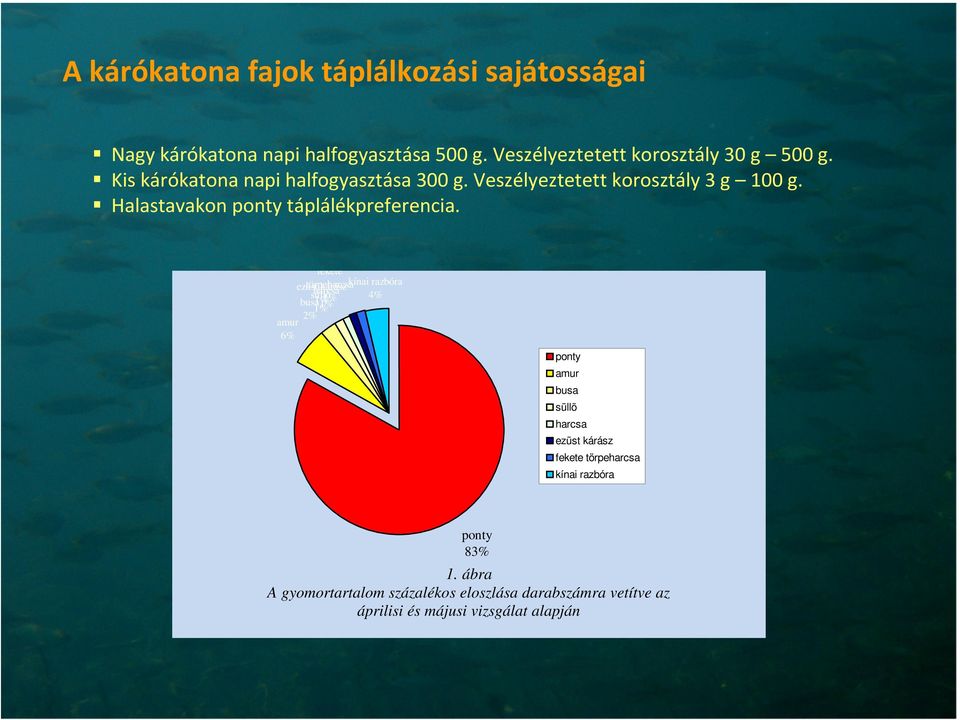 fekete törpeharcsa ezüst kárász kínai razbóra harcsa 4% süllő 1% 1% busa 1% 1% 2% amur 6% ponty amur busa süllõ harcsa ezüst kárász