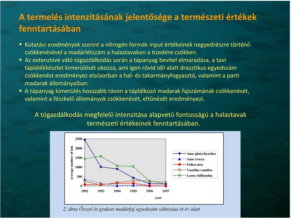 Az extenzívvé váló tógazdálkodás során a tápanyag bevitel elmaradása, a tavi táplálékkészlet kimerülését okozza, ami igen rövid idő alatt drasztikus egyedszám csökkenést eredményez elsősorban a hal-